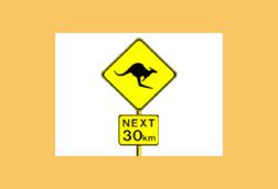 Kangaroos next 30 km warning sign