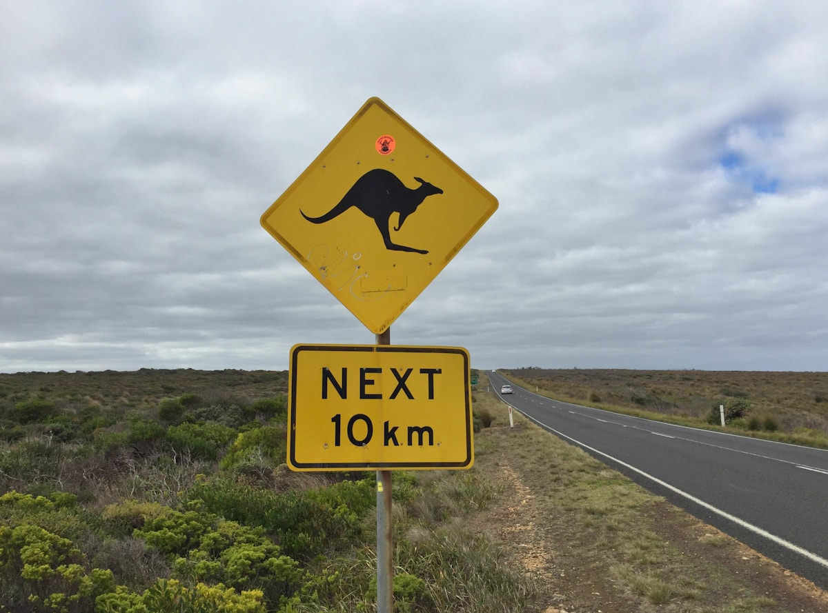 Kangaroo road sign on an Australian highway
